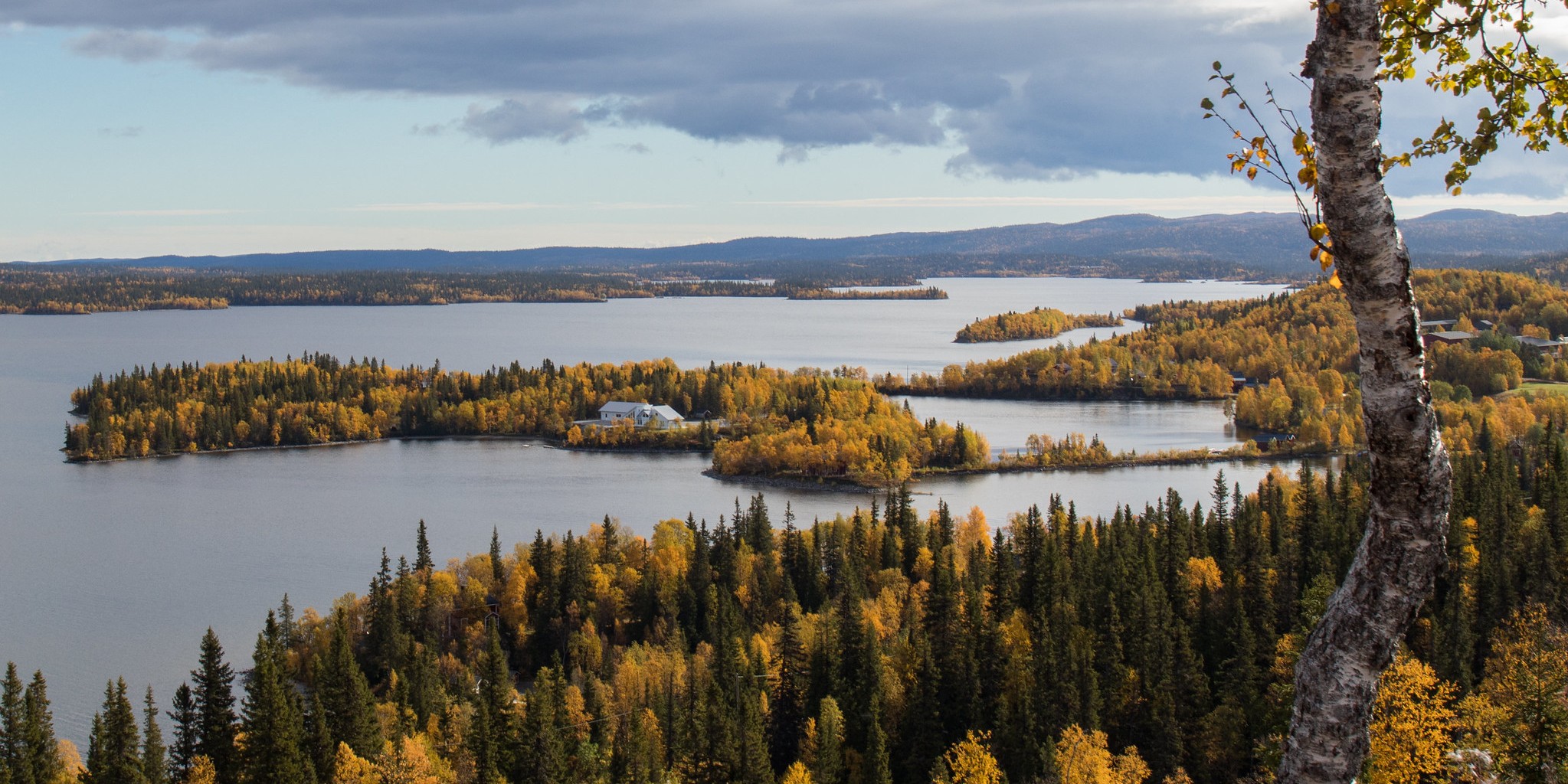 swedish landscape