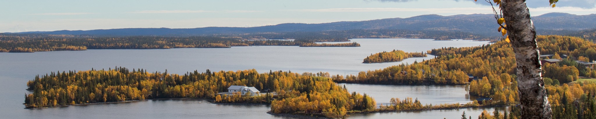 swedish landscape