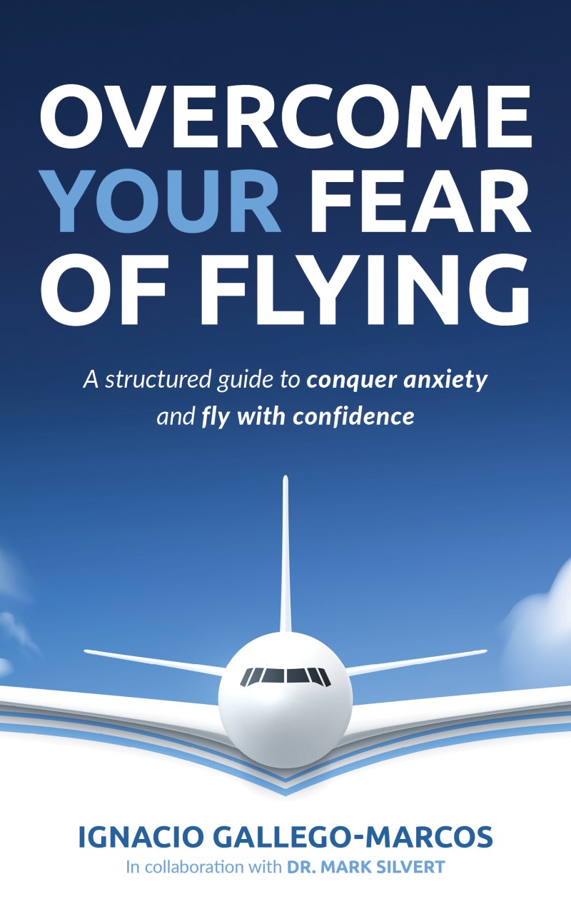 fear of flying book cover